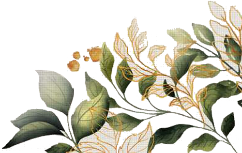 footer image